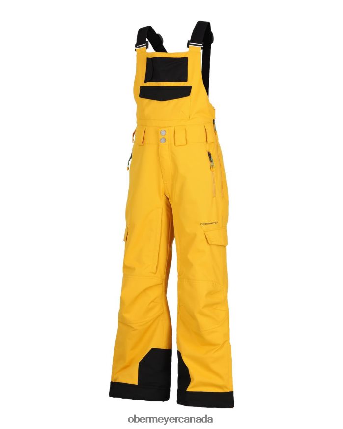 Obermeyer Teen Connor Bib Pant PT4J556 Clothing Endless Summer